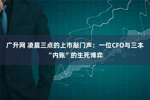 广升网 凌晨三点的上市敲门声：一位CFO与三本“内账”的生死博弈