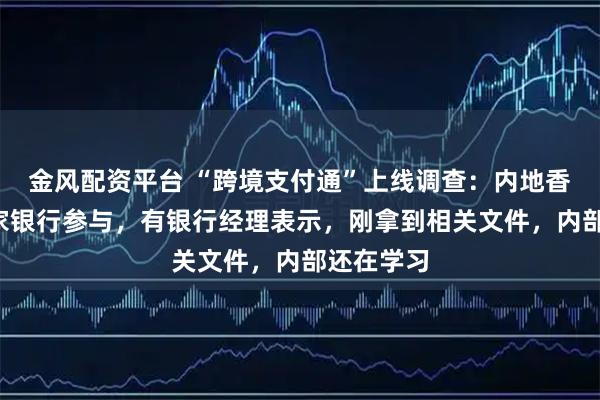 金风配资平台 “跨境支付通”上线调查：内地香港各有6家银行参与，有银行经理表示，刚拿到相关文件，内部还在学习