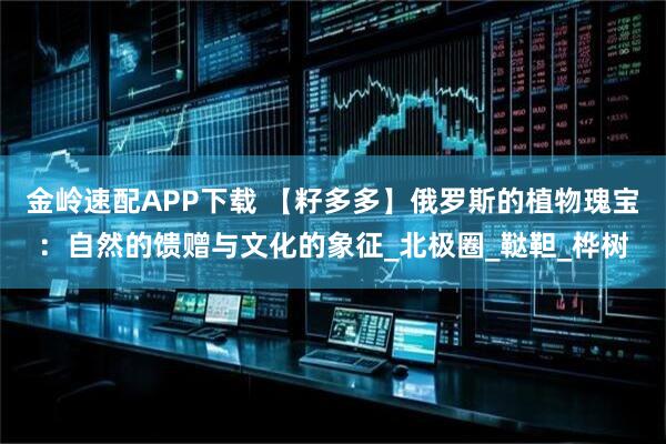 金岭速配APP下载 【籽多多】俄罗斯的植物瑰宝：自然的馈赠与文化的象征_北极圈_鞑靼_桦树