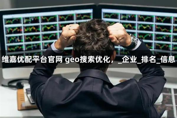 维嘉优配平台官网 geo搜索优化，_企业_排名_信息