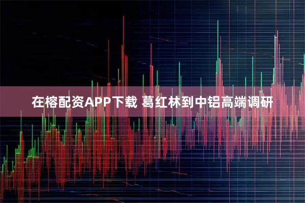 在榕配资APP下载 葛红林到中铝高端调研