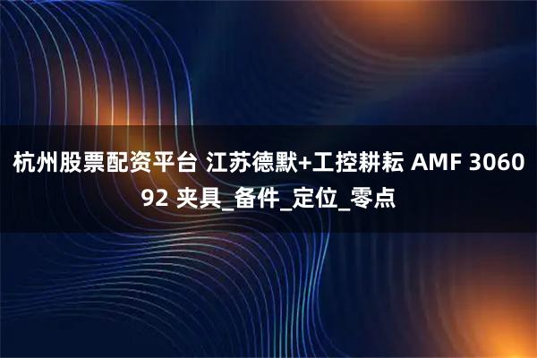 杭州股票配资平台 江苏德默+工控耕耘 AMF 306092 夹具_备件_定位_零点